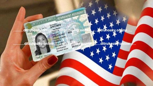 Có Green Card vẫn có thể bị tòa di trú trục xuất nếu phạm tội